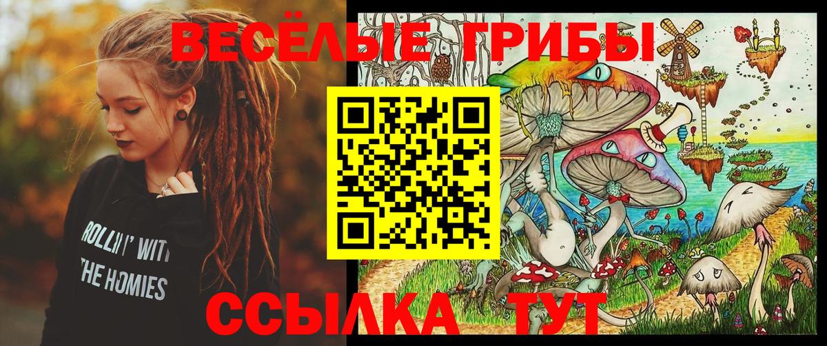 Галлюциногенные грибы MAGIC MUSHROOMS Балашиха