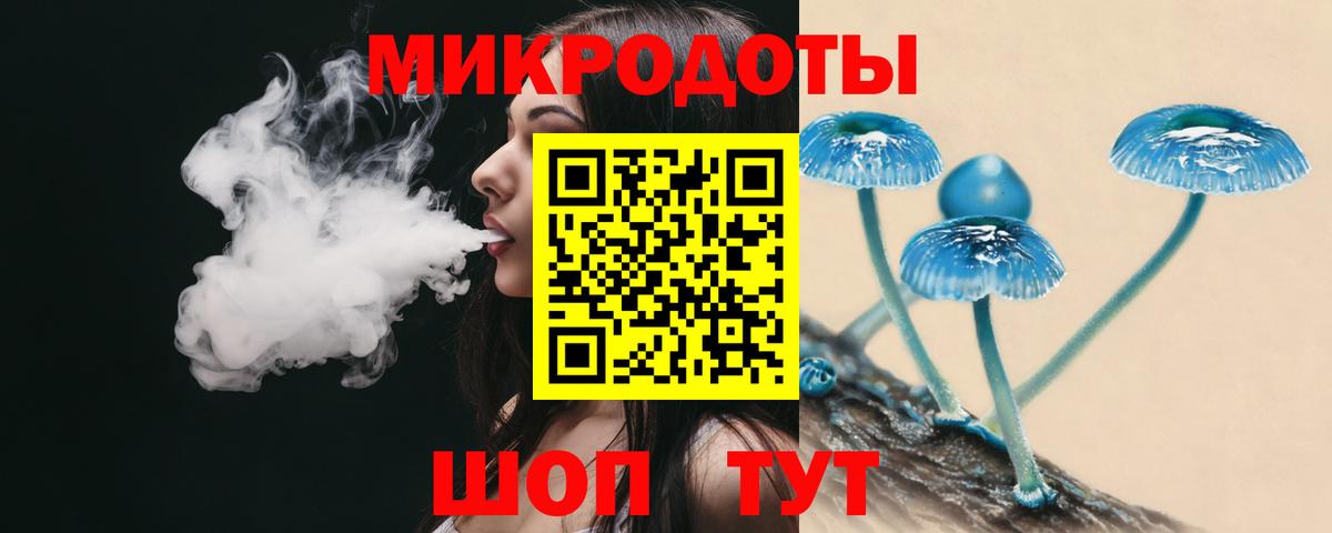 Балашиха  Галлюциногенные грибы Cubensis  Вход с VPN 